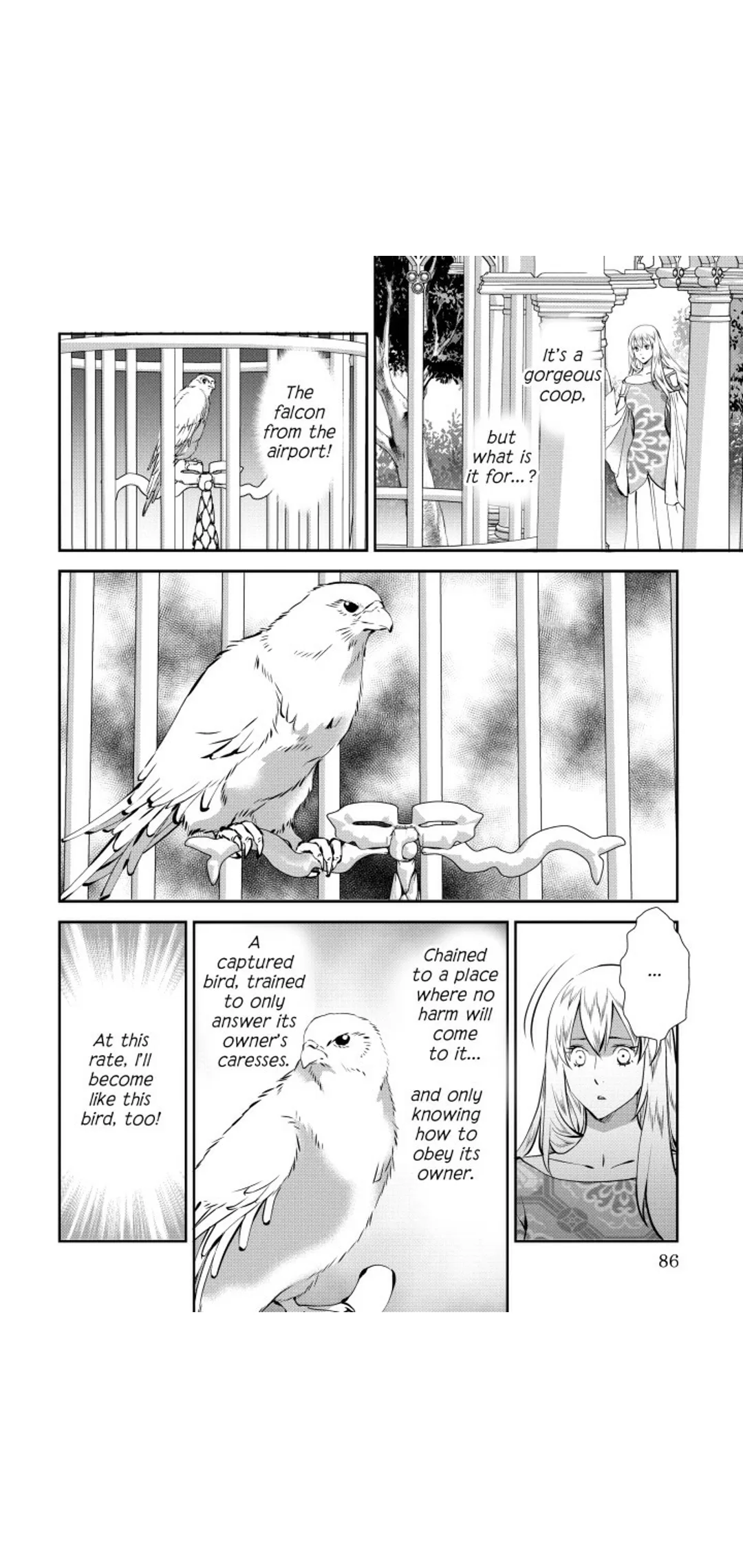 The Falcon's Mistress Chapter 1 page 85