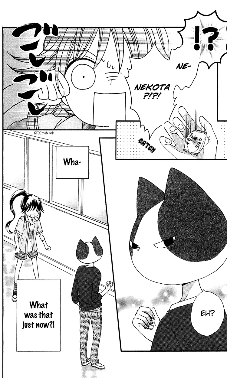 Nekota no Koto ga Ki ni Natte Shikatanai Chapter 2 page 42