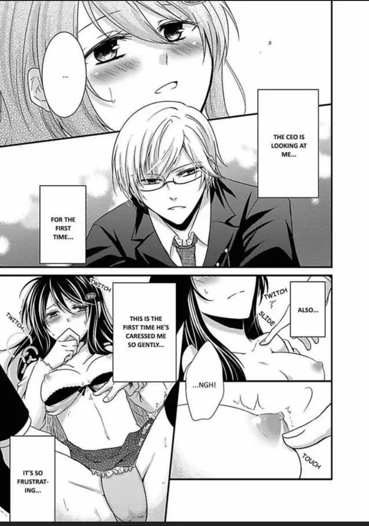 Watashi wa Shachou no Seigangu Chapter 2 page 3