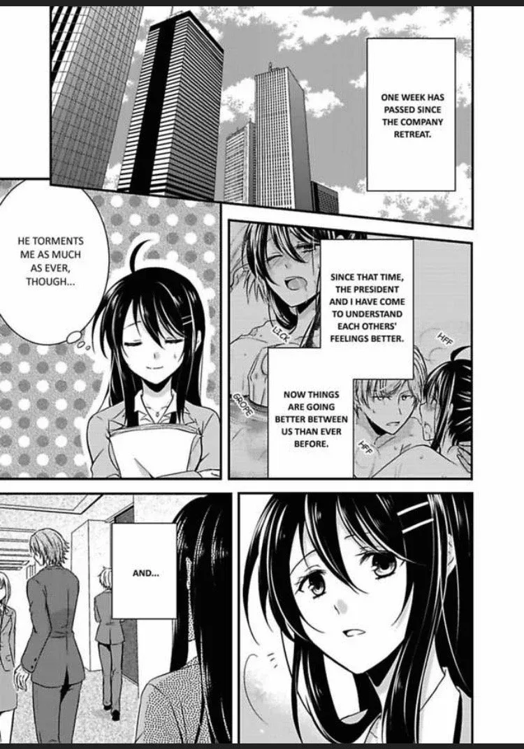 Watashi wa Shachou no Seigangu Chapter 2 page 43