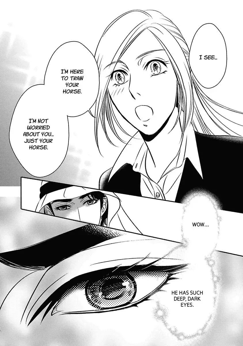 The Sheikh's Last Mistress Chapter 0 page 9