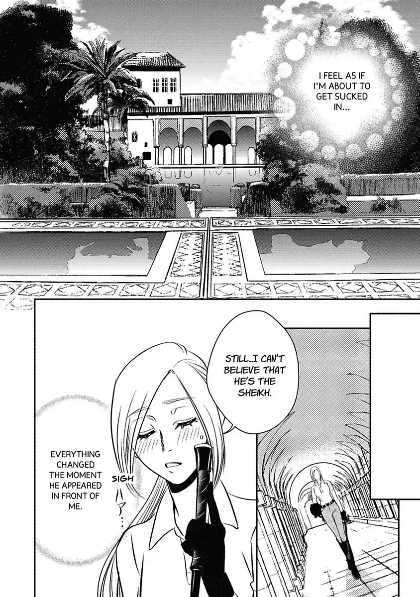 The Sheikh's Last Mistress Chapter 0 page 10