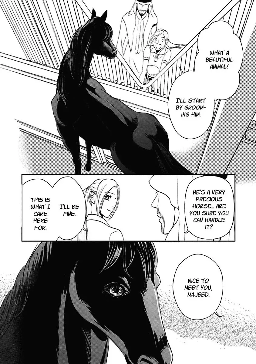 The Sheikh's Last Mistress Chapter 0 page 16