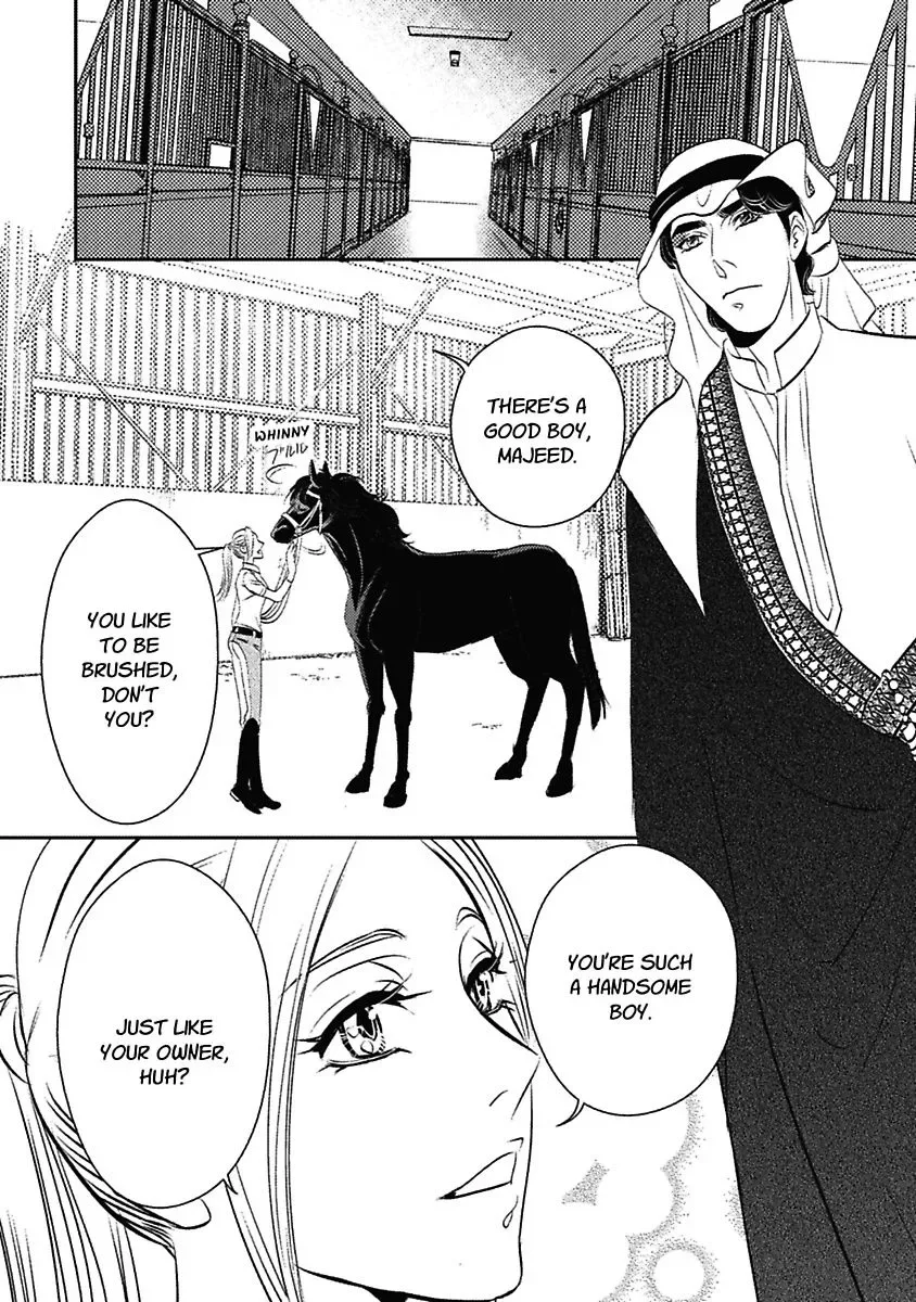 The Sheikh's Last Mistress Chapter 0 page 18