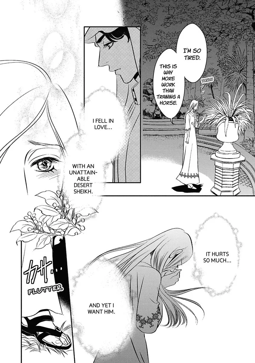 The Sheikh's Last Mistress Chapter 0 page 64