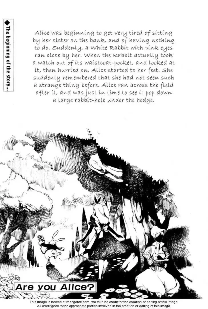 Are you Alice? Chapter 3 page 2