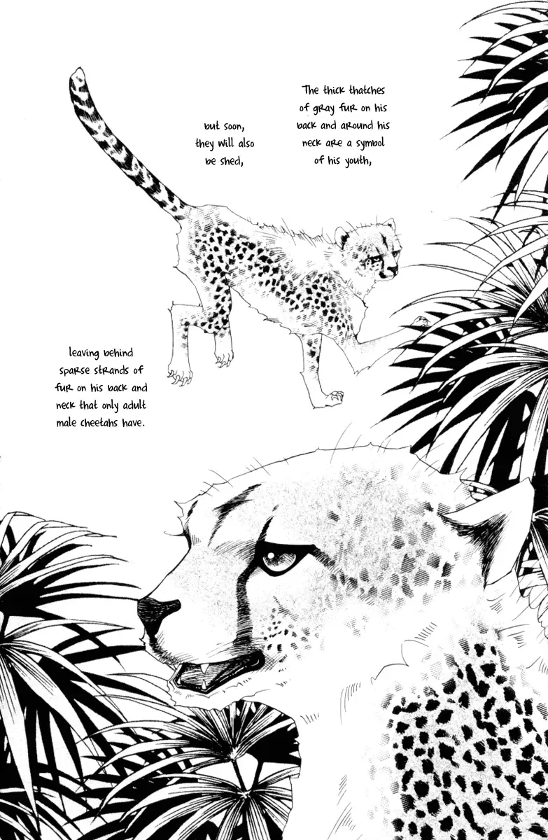 Me and my Ainia Chapter 5 page 19