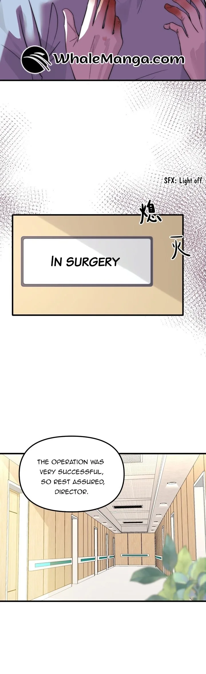 Gorgeous Robe Chapter 1 page 41