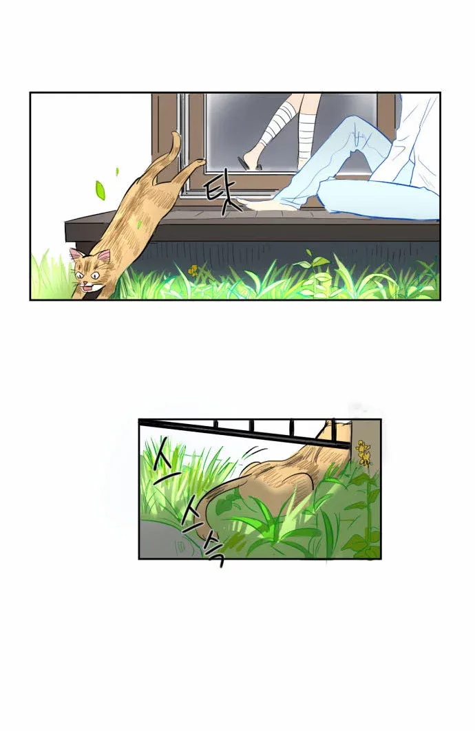 Transparent Cohabitation Chapter 5 page 62