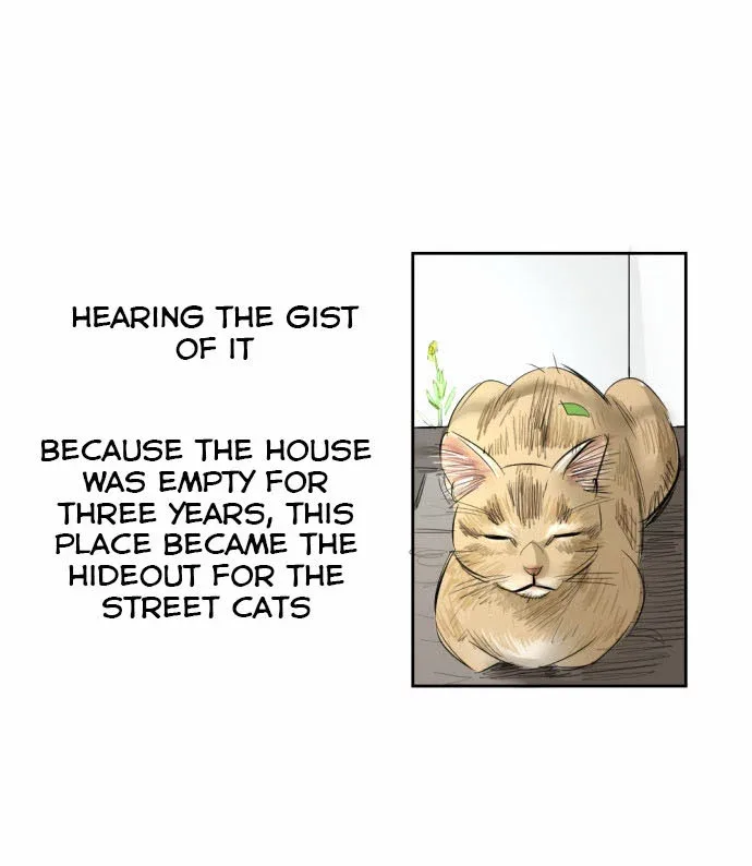 Transparent Cohabitation Chapter 5 page 54