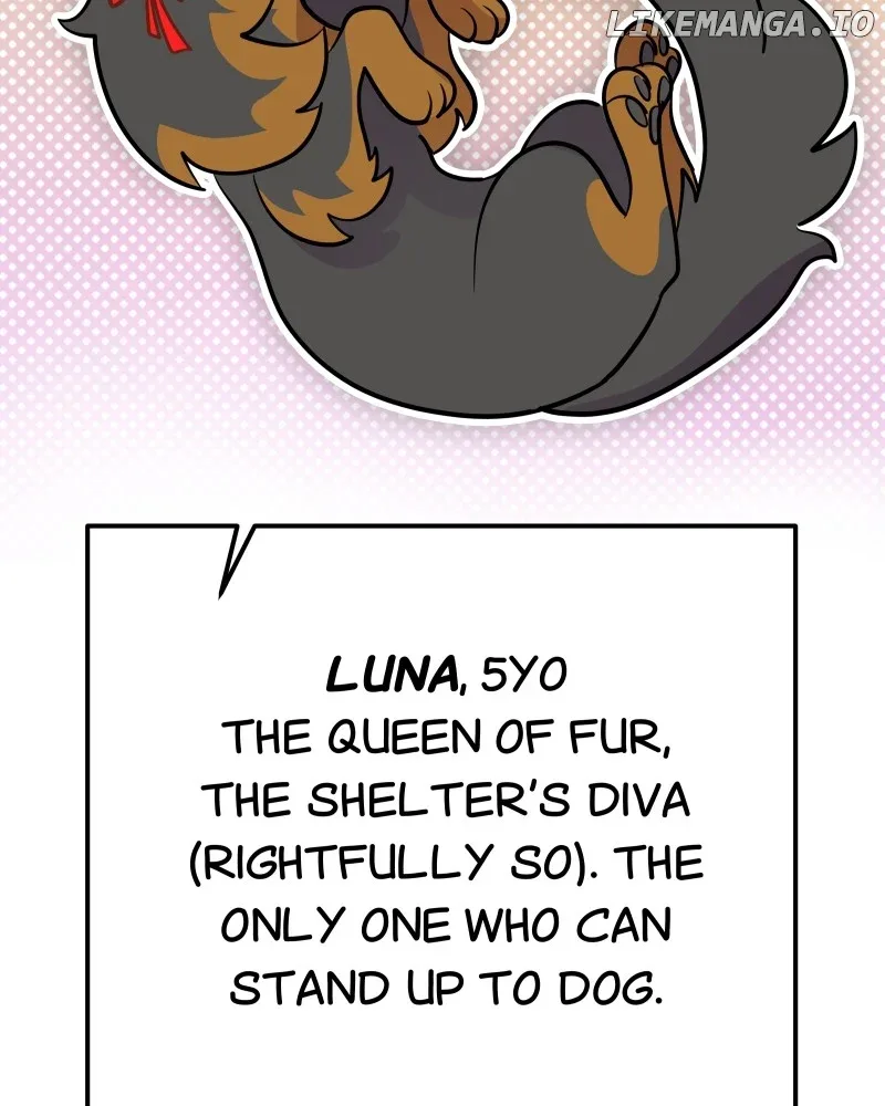 Puppies and Werewolves Chapter 4 page 37