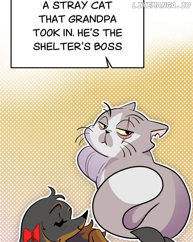 Puppies and Werewolves Chapter 4 page 36