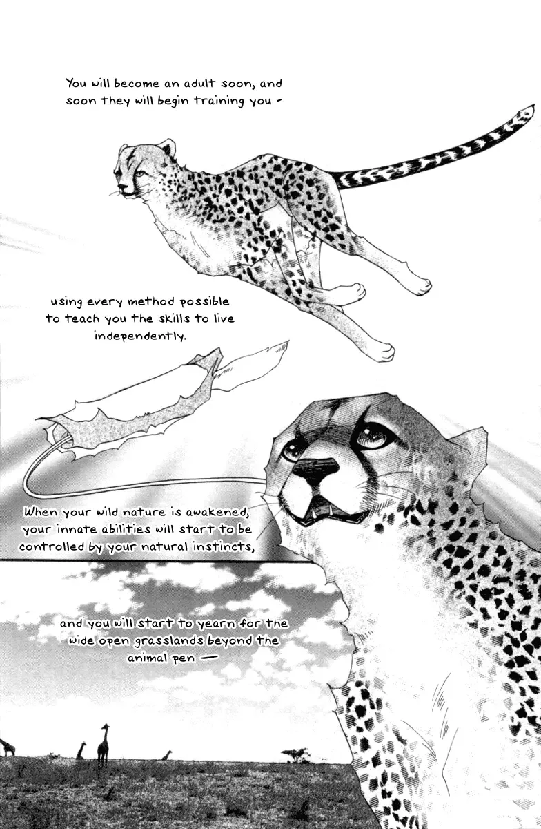 Me and my Ainia Chapter 6 page 8