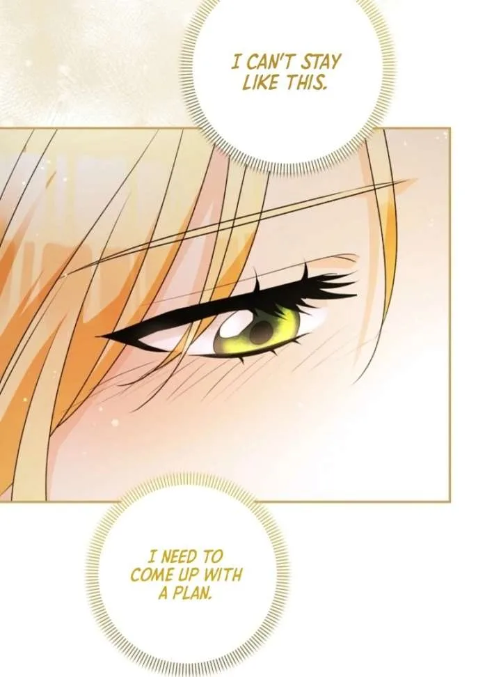 Let’s Divorce, Not Obsess! Chapter 4 page 148