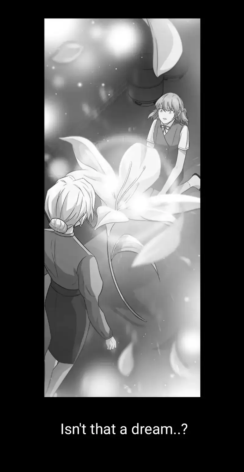 Witch’s Judgment Is To Be Turned Into A Flower Chapter 2 page 18