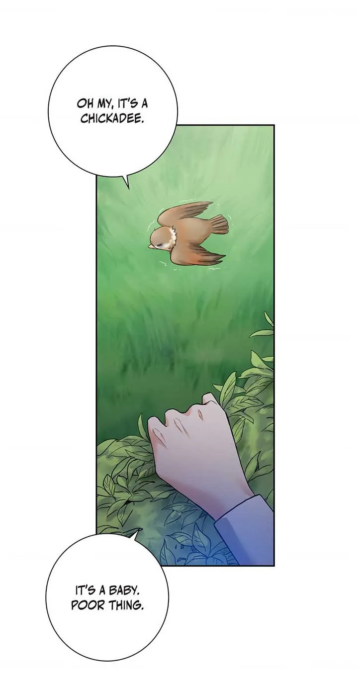 Don’t Look For Me Chapter 2 page 51