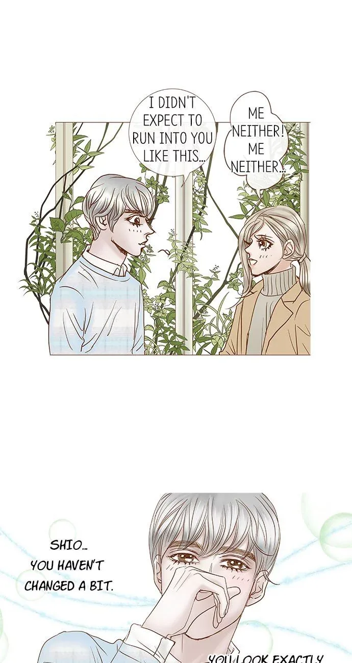 Confession (Soo-Yeon WON) Chapter 19 page 5