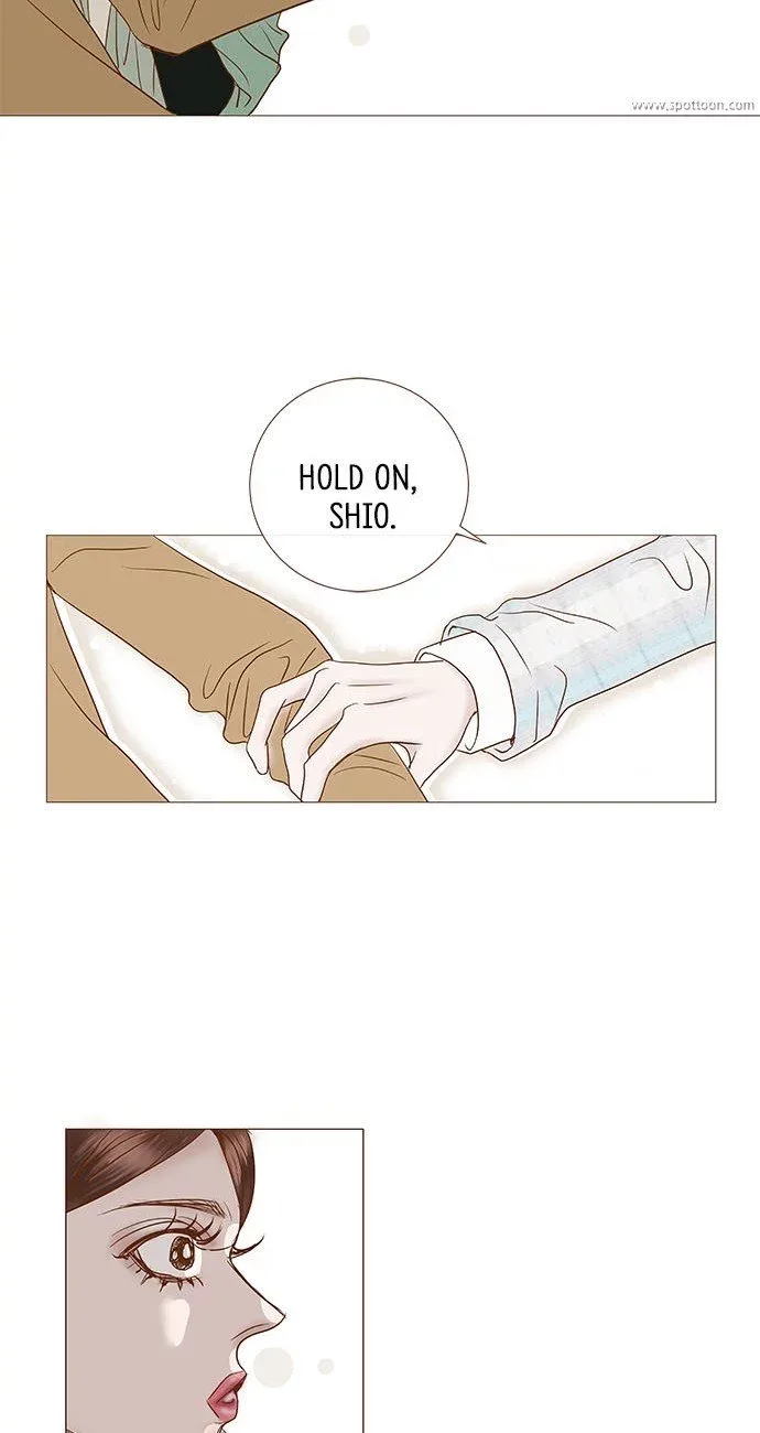 Confession (Soo-Yeon WON) Chapter 19 page 23