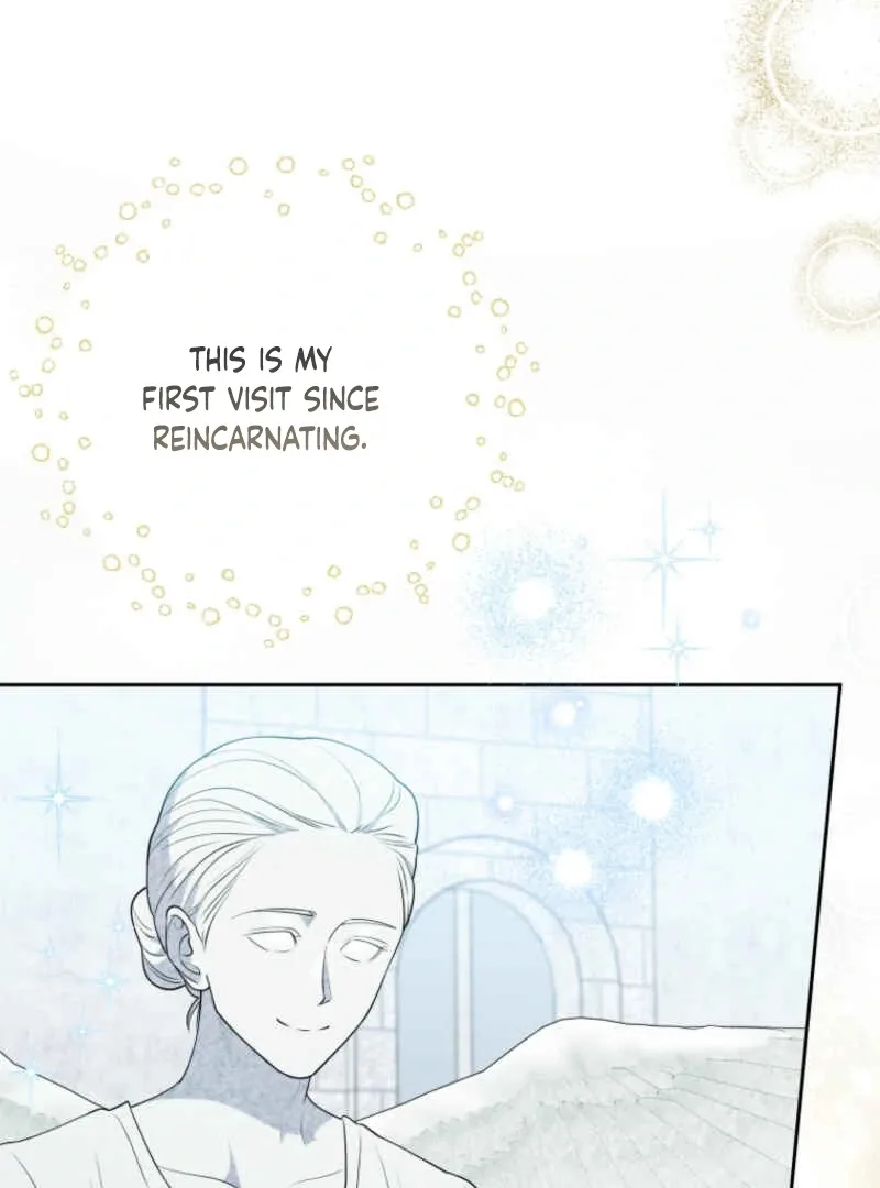This Reincarnation Requires a Subscription Fee Chapter 10 page 29