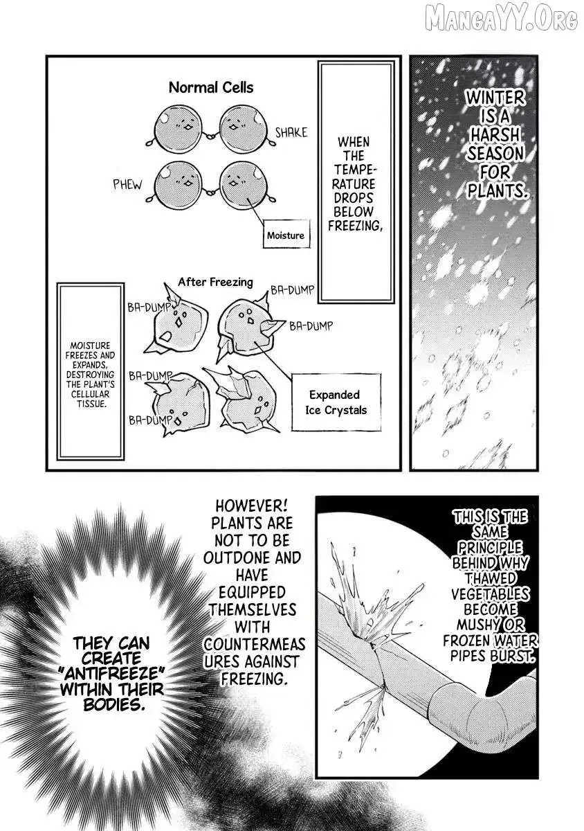 Boukensha Sakaba no Ryourijin Chapter 11 page 24