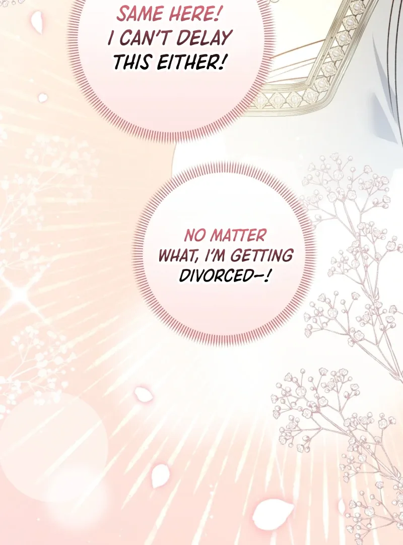 Let’s Divorce, Not Obsess! Chapter 15 page 96