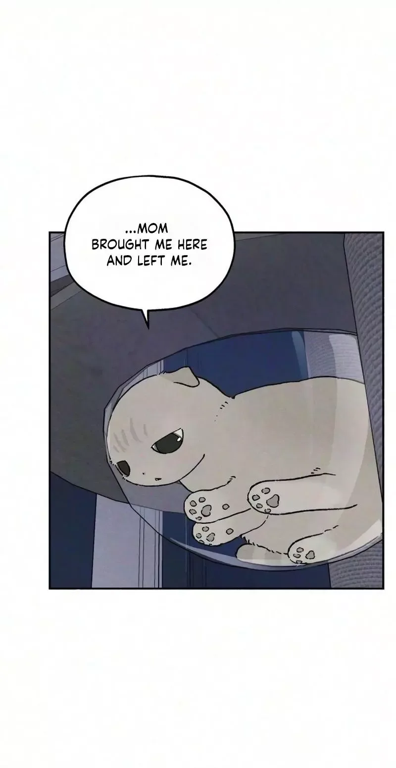 Live with me Chapter 10 page 64