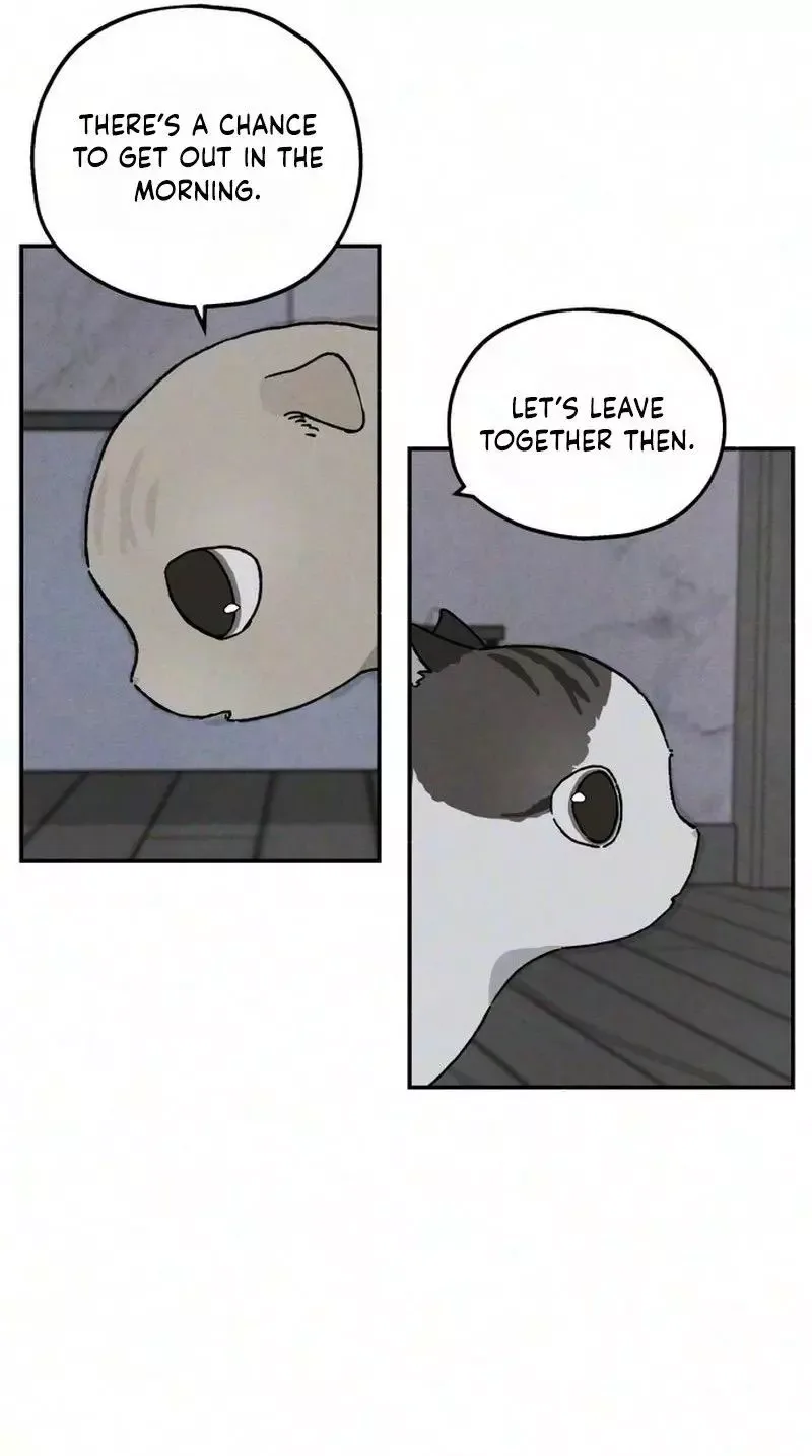 Live with me Chapter 10 page 69