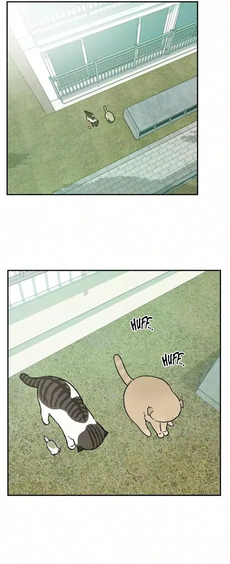 Live with me Chapter 11 page 21