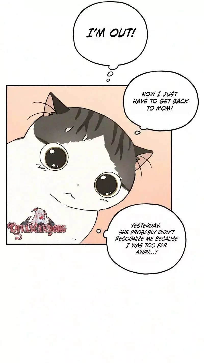 Live with me Chapter 11 page 22