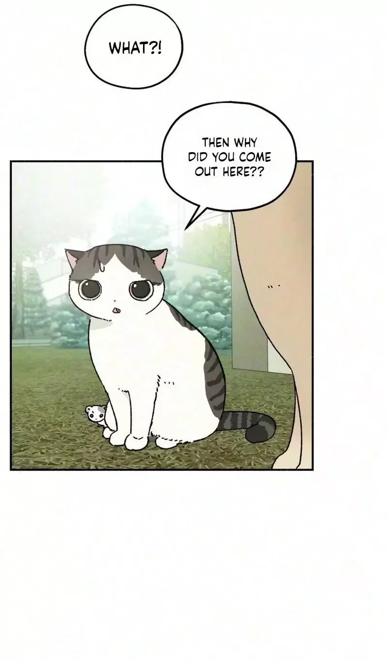 Live with me Chapter 11 page 25