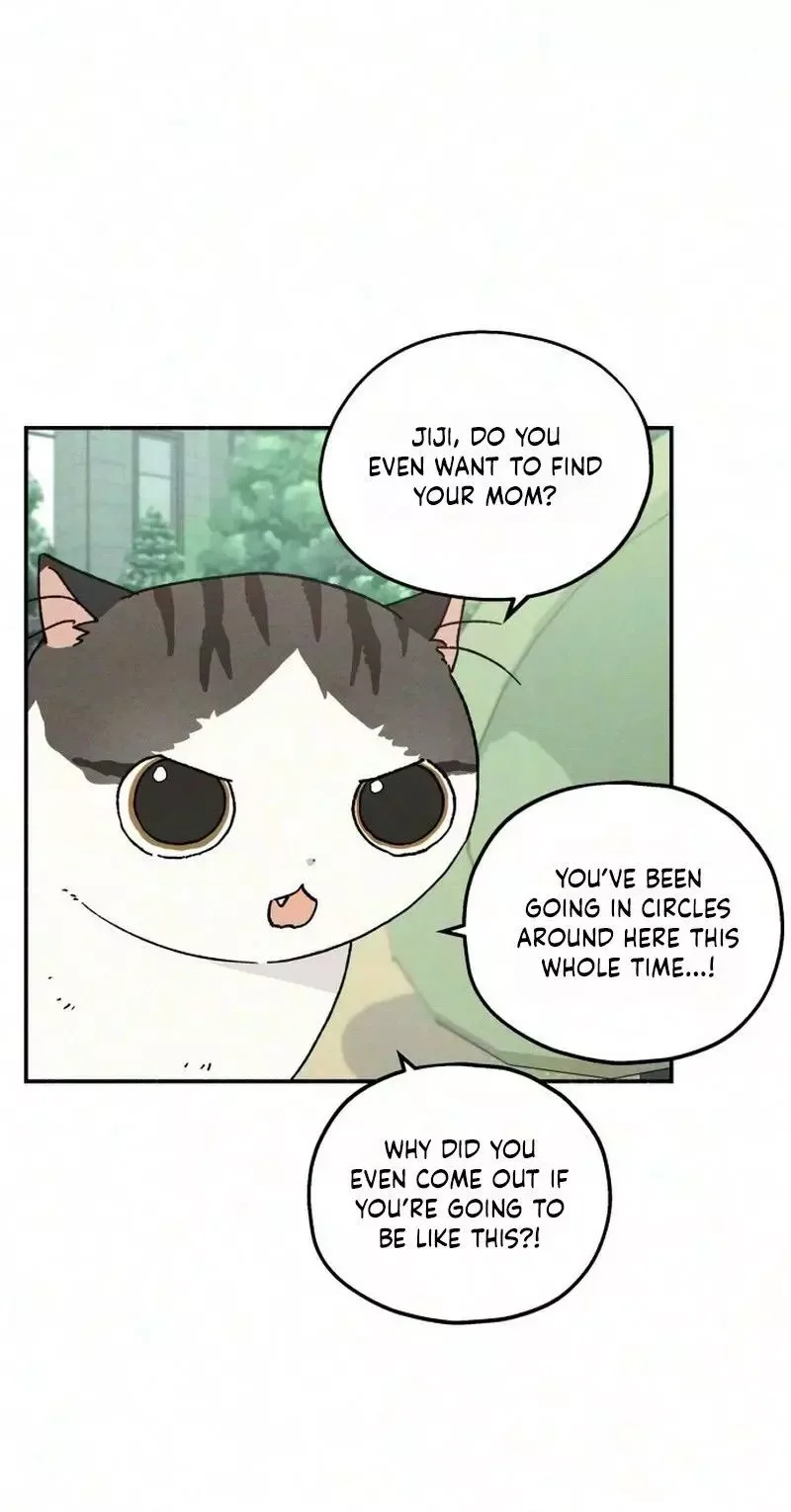 Live with me Chapter 11 page 37