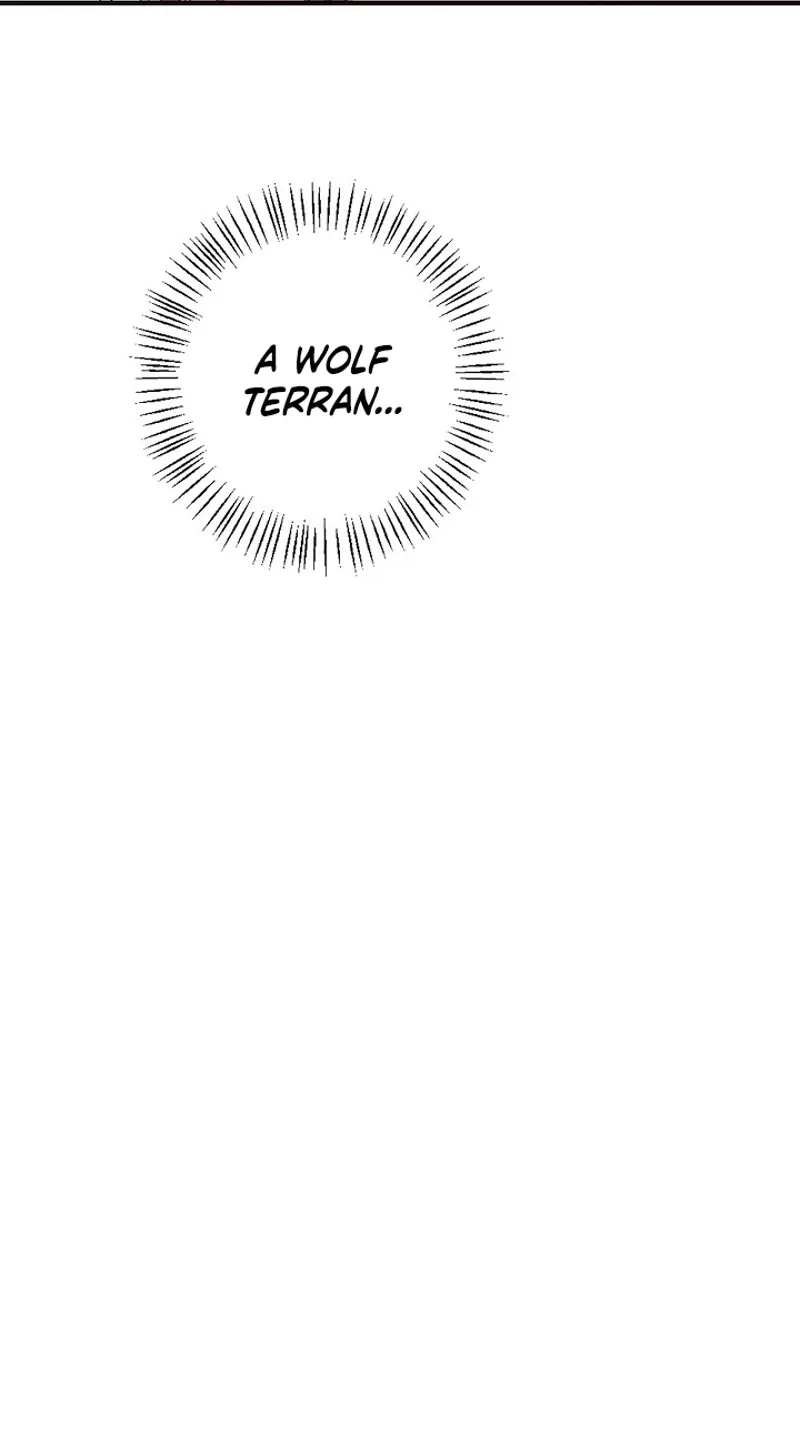 Wolf Declaration Chapter 5 page 5