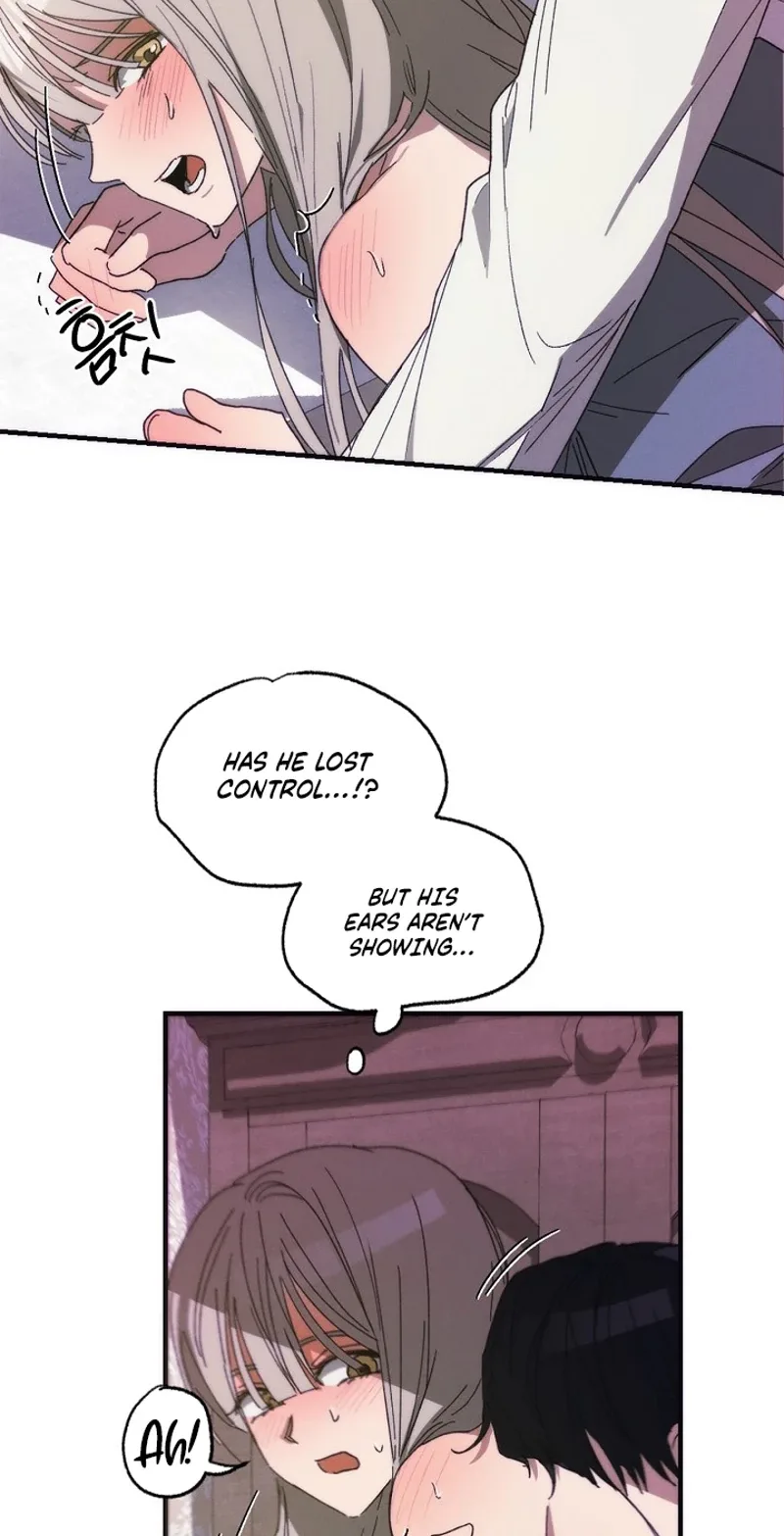 Wolf Declaration Chapter 5 page 45
