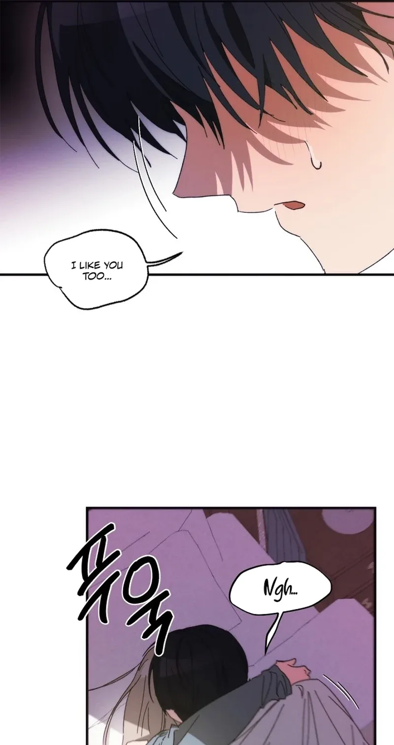 Wolf Declaration Chapter 5 page 61