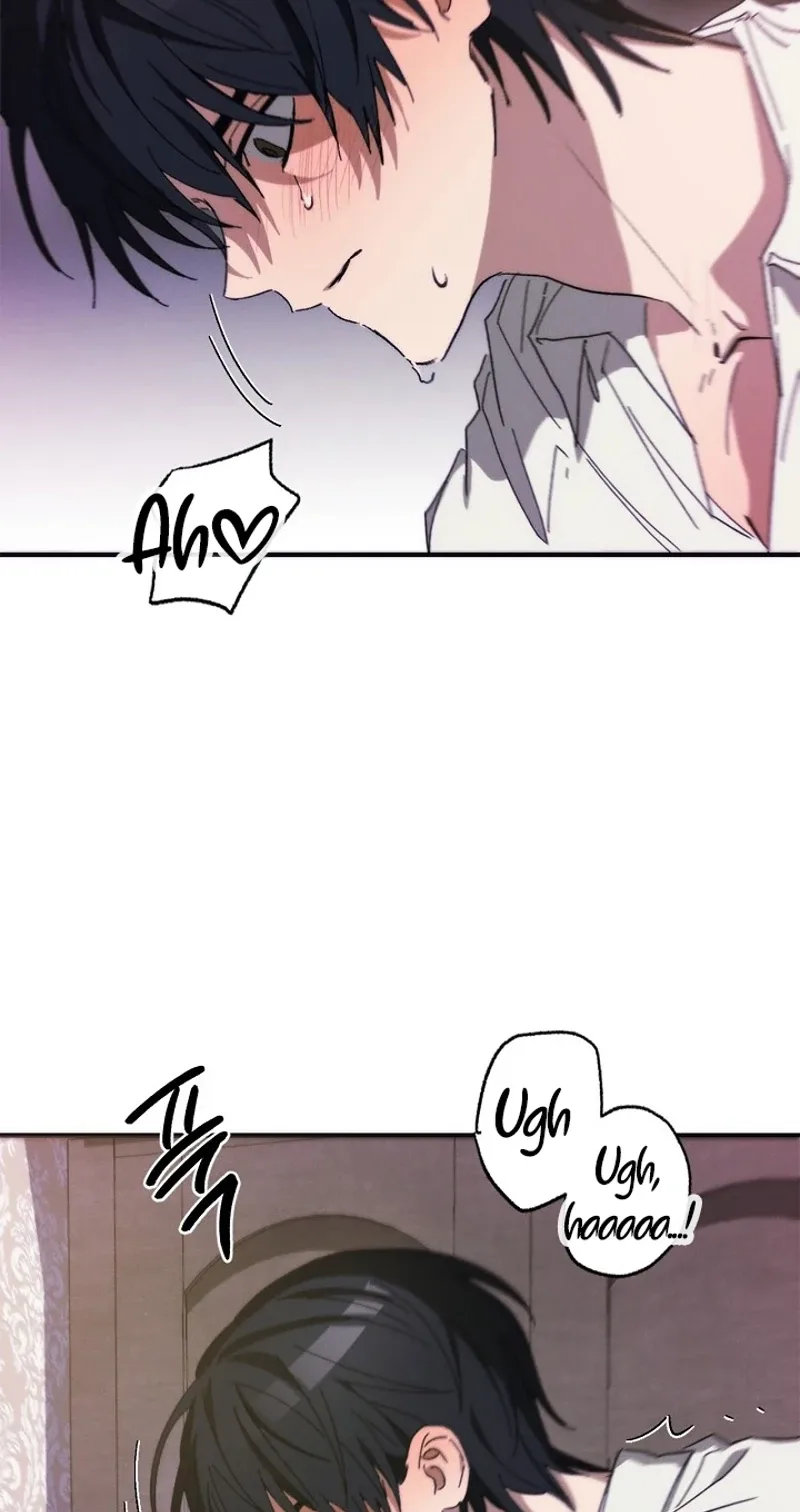 Wolf Declaration Chapter 5 page 66