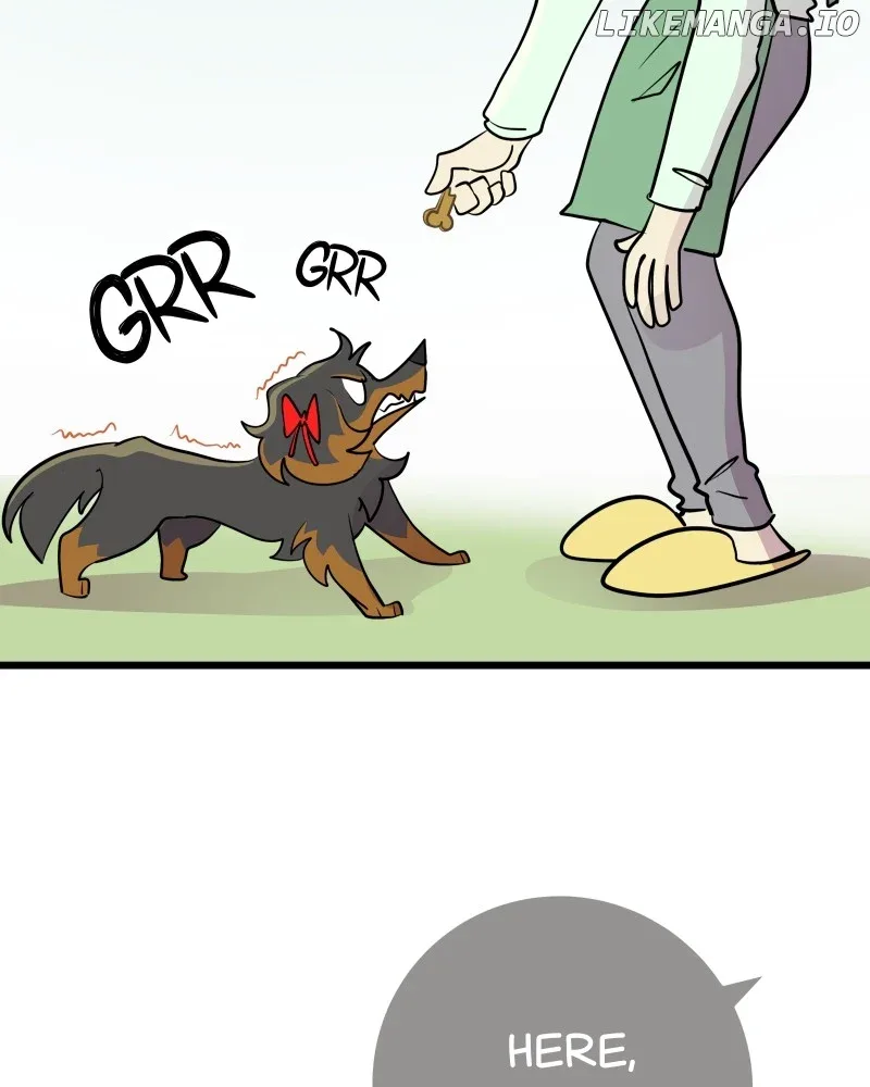 Puppies and Werewolves Chapter 12 page 13