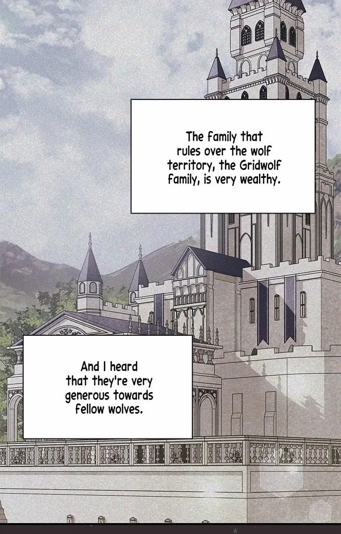 You’re a Cat, But You’ve Been Adopted by a Wolf Family? Chapter 1 page 62