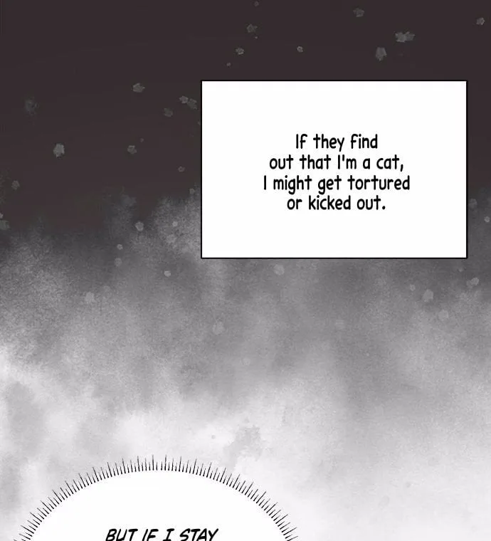 You’re a Cat, But You’ve Been Adopted by a Wolf Family? Chapter 1 page 63