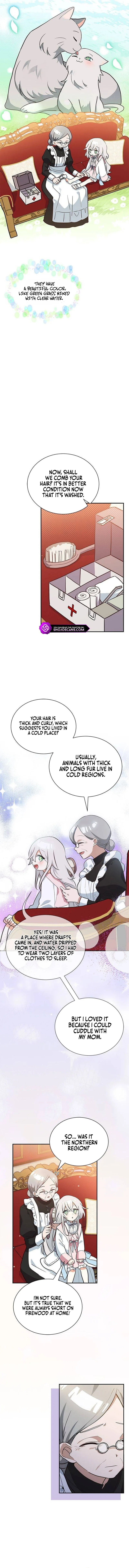 You’re a Cat, But You’ve Been Adopted by a Wolf Family? Chapter 4 page 10