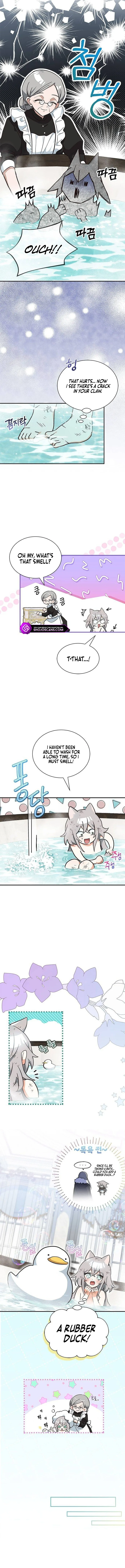 You’re a Cat, But You’ve Been Adopted by a Wolf Family? Chapter 4 page 8