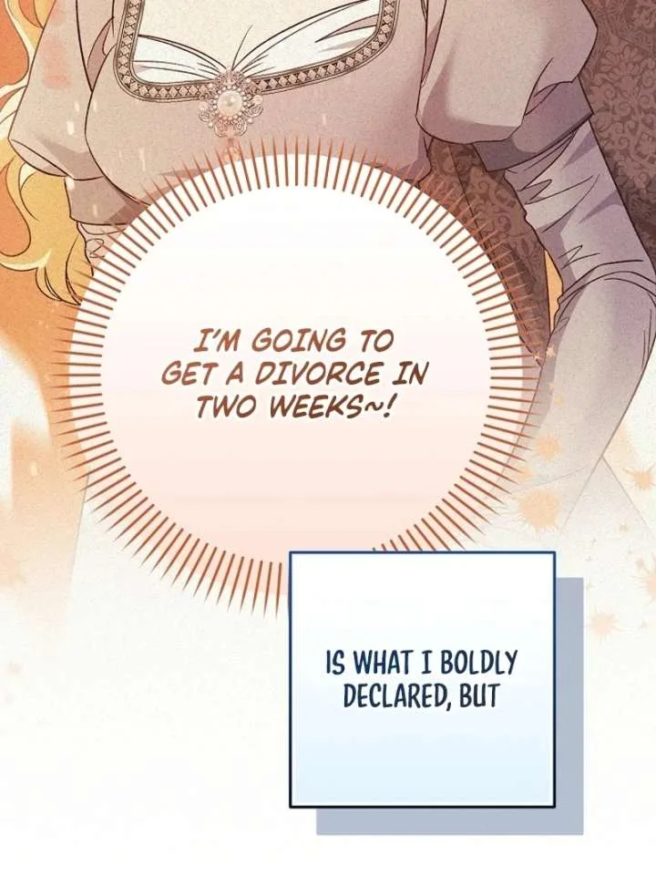 Let’s Divorce, Not Obsess! Chapter 16 page 3