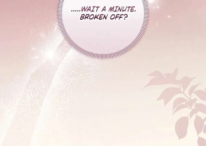 Let’s Divorce, Not Obsess! Chapter 16 page 19