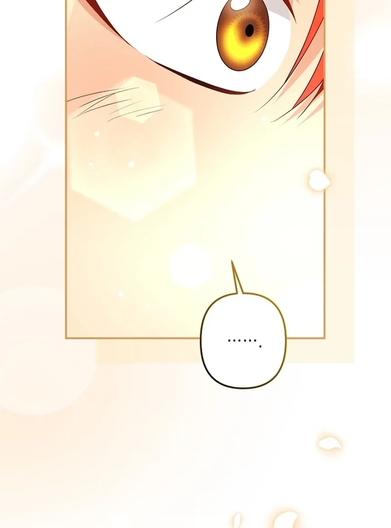 Let’s Divorce, Not Obsess! Chapter 20 page 87