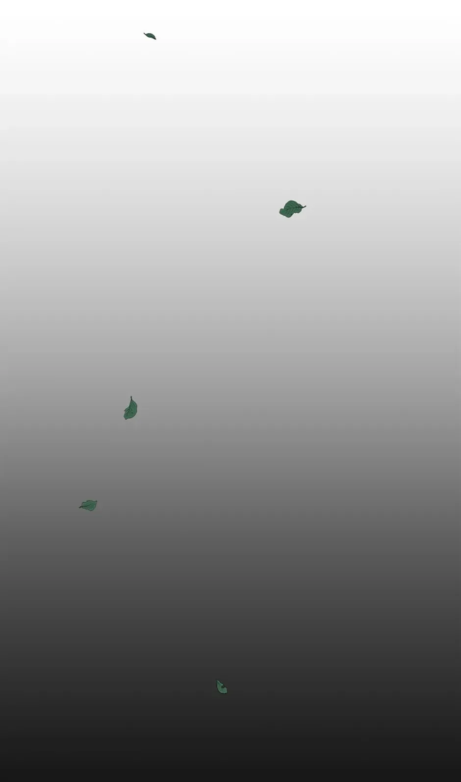 Under the Plum Blossom Tree Chapter 20 page 50