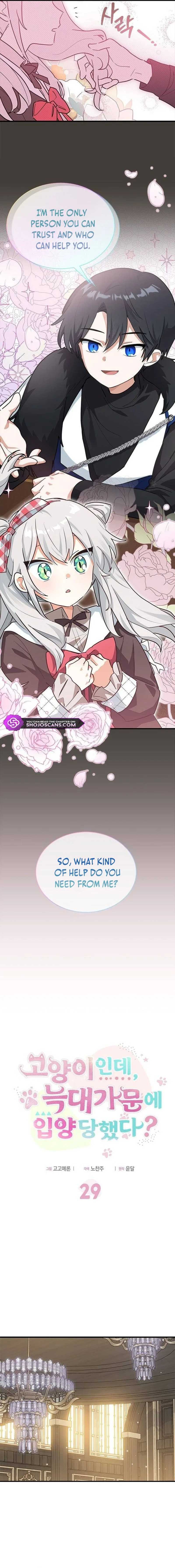 You’re a Cat, But You’ve Been Adopted by a Wolf Family? Chapter 29 page 3