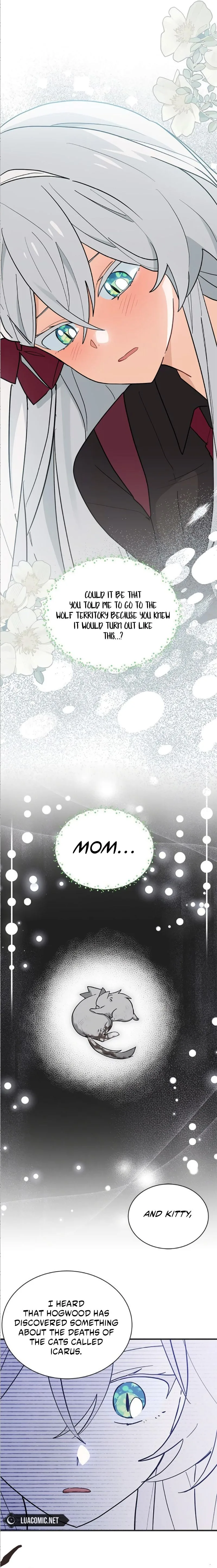 You’re a Cat, But You’ve Been Adopted by a Wolf Family? Chapter 41 page 12