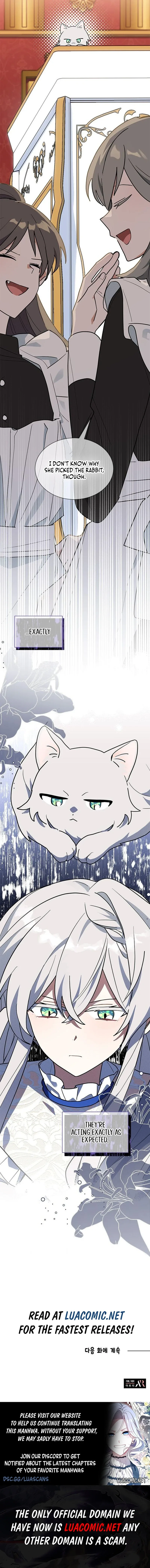 You’re a Cat, But You’ve Been Adopted by a Wolf Family? Chapter 44 page 14