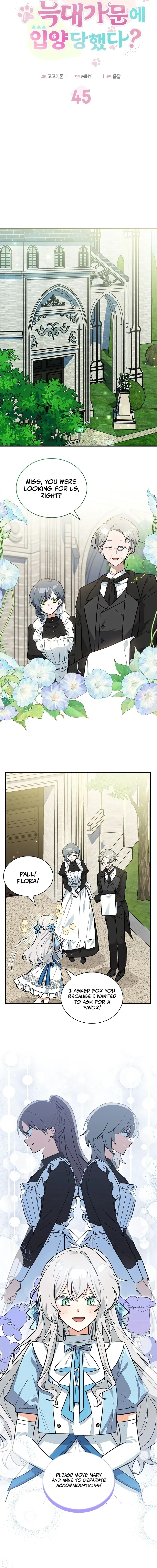 You’re a Cat, But You’ve Been Adopted by a Wolf Family? Chapter 45 page 4