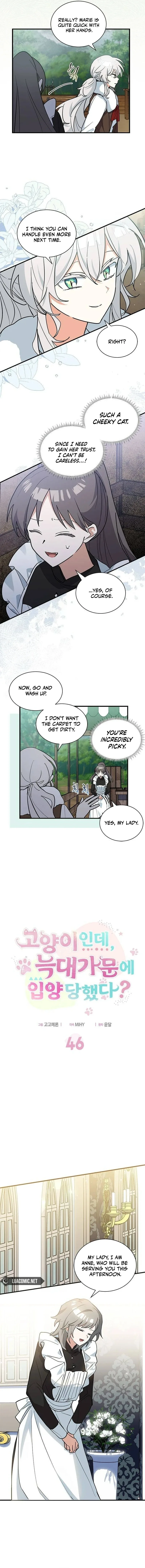 You’re a Cat, But You’ve Been Adopted by a Wolf Family? Chapter 46 page 6