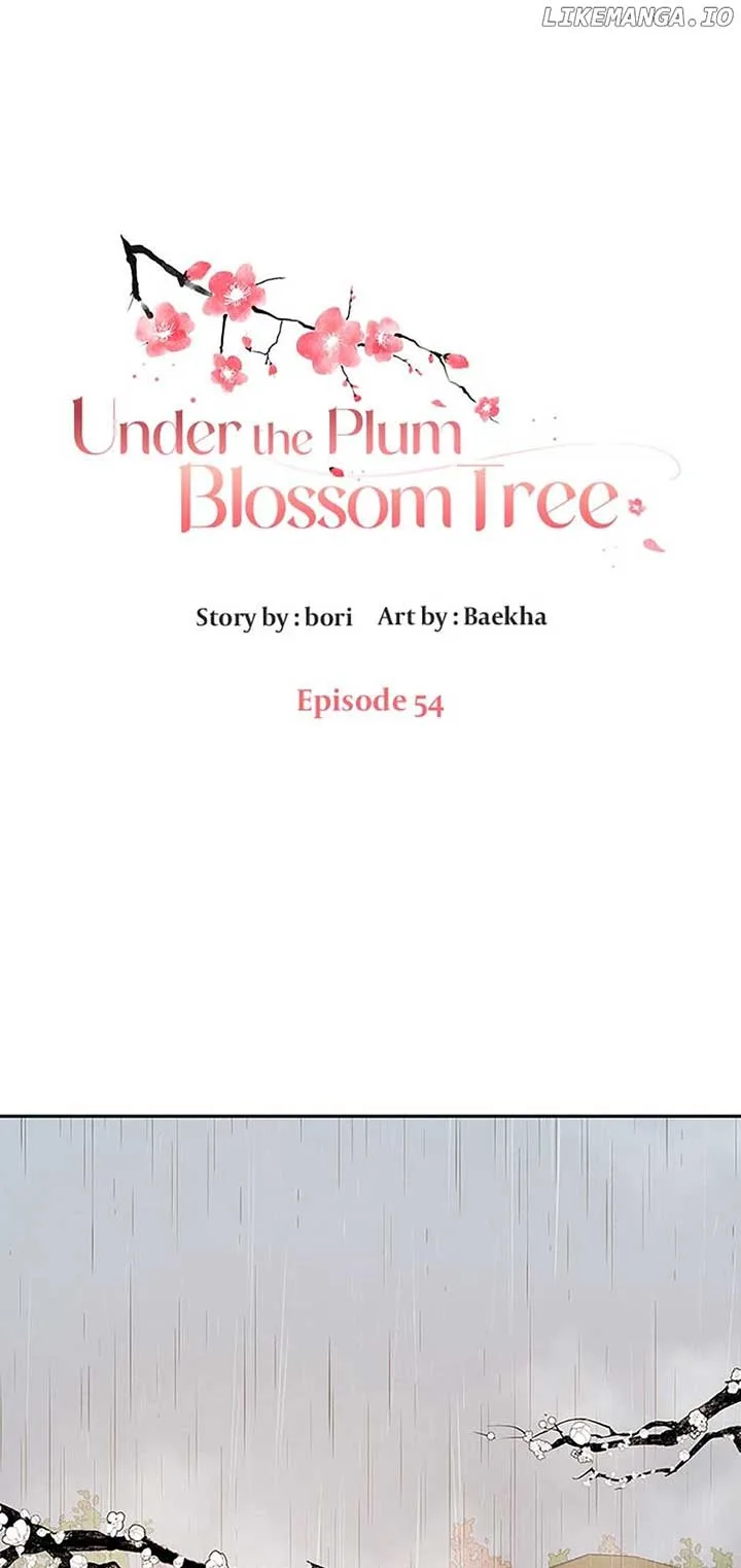Under the Plum Blossom Tree Chapter 54 page 2